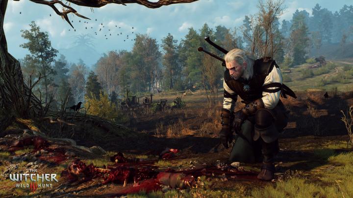 The_Witcher_3_Wild_Hunt_Alas,_poor_Yorick.jpg